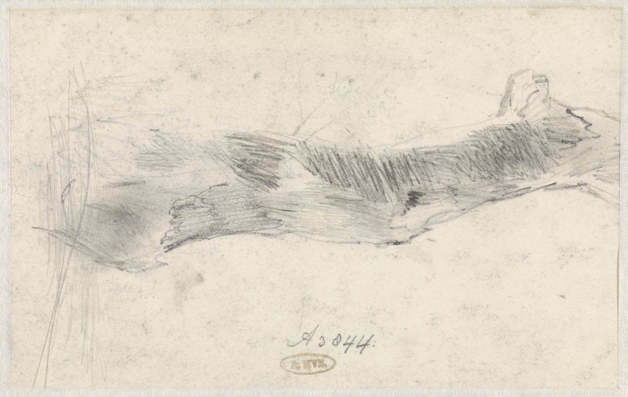 Estudio de un árbol de Willem Anthonie van Deventer
