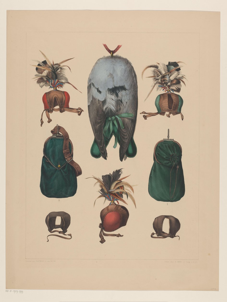 Atributos de la Cetrería de Willem Bastiaan van Wouw (possibly)