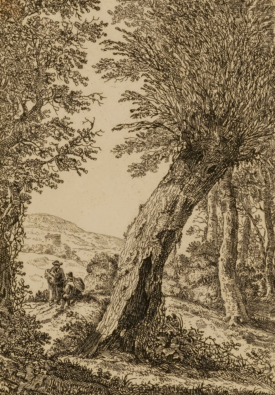 Paisaje con sauces de Willem Bemmel