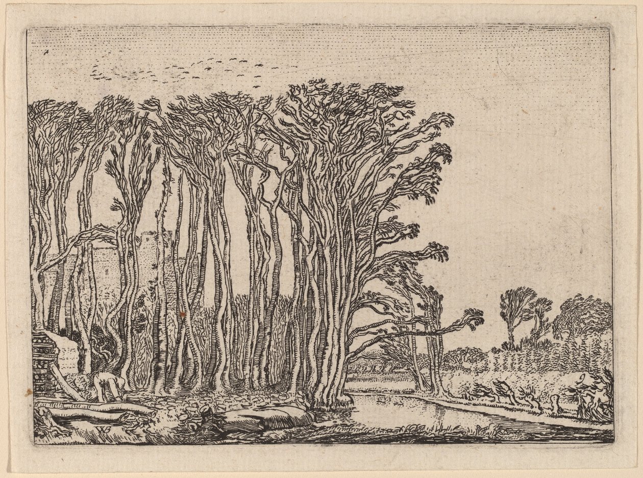 El Carbonero de Willem Buytewech
