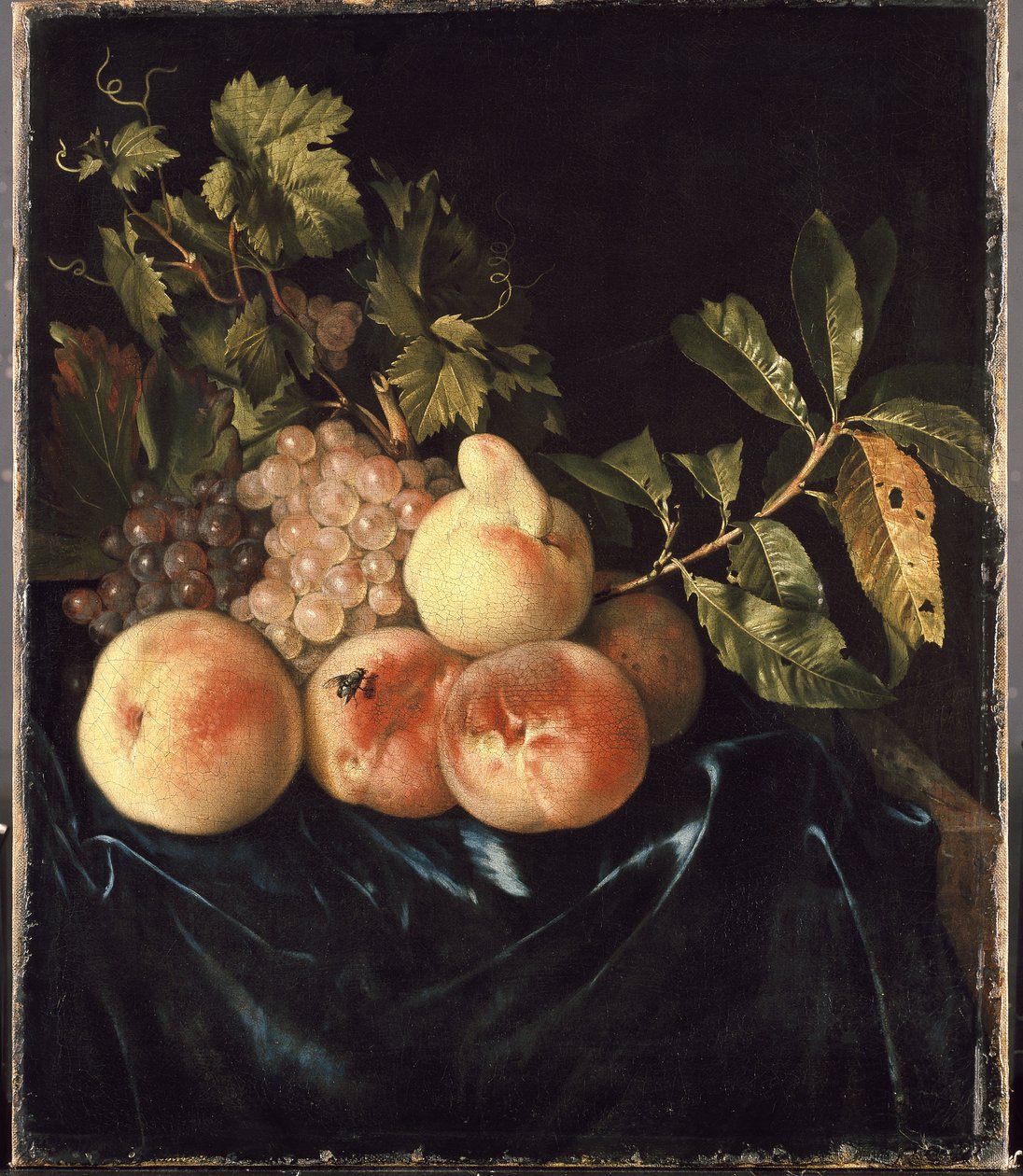 Naturaleza Muerta con Duraznos y Uvas de Willem Frederik van Royen