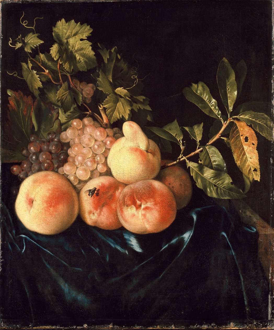 Bodegón de duraznos y uvas, 1705 de Willem Frederiksz van Royen