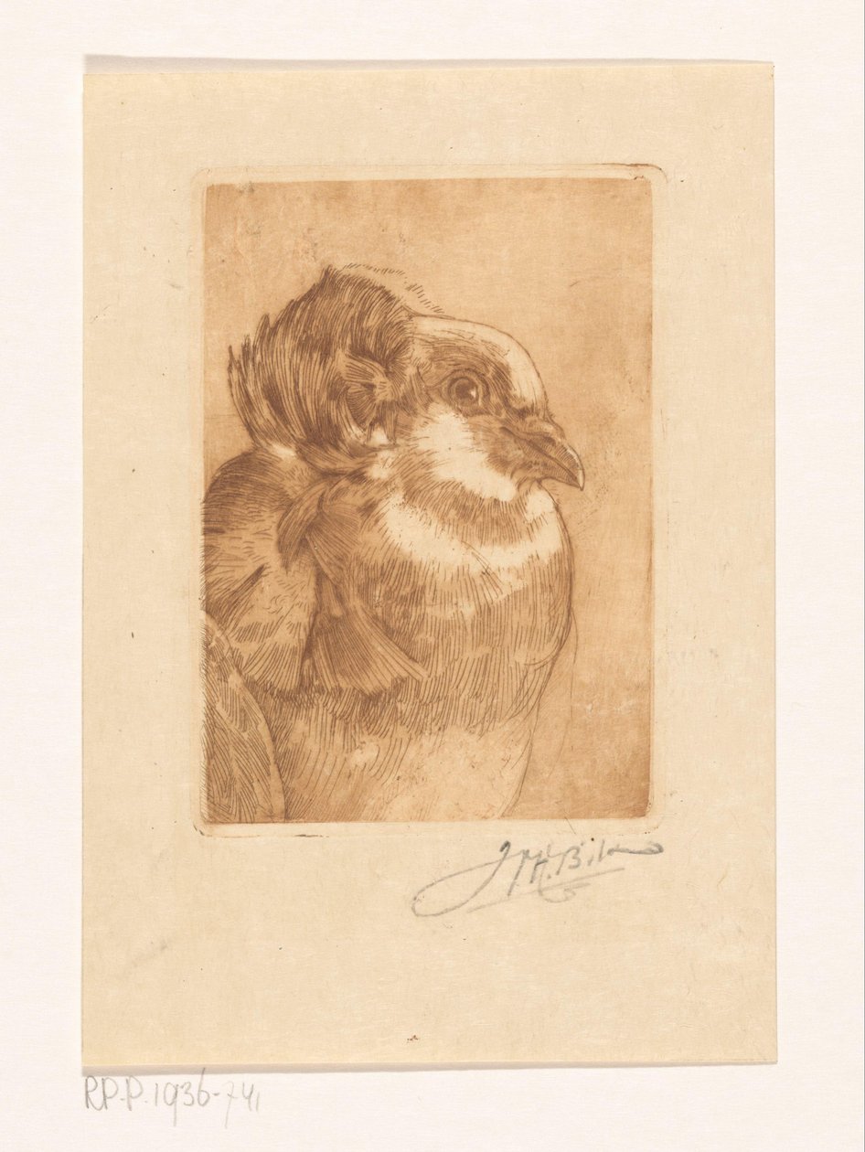 Estudio de una paloma de Willem Hendrik Bik (signed by artist)