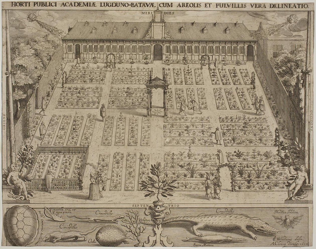 El jardín botánico en Leiden de Willem Isaaksz Swanenburgh