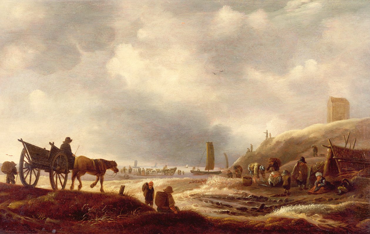 Imagen desconocida de Willem Kool or Koolen