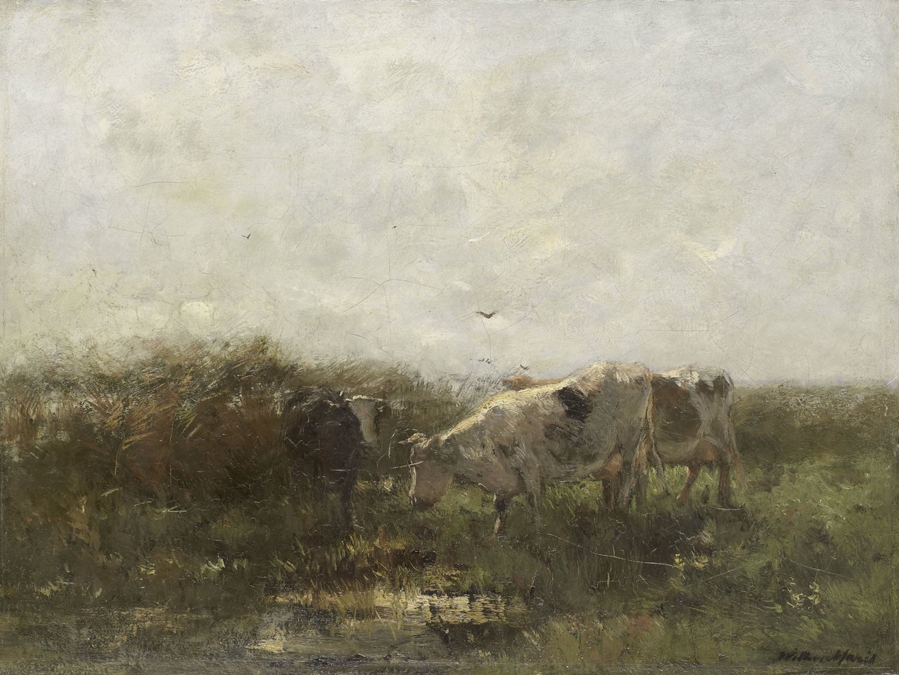 Vacas de Willem Maris