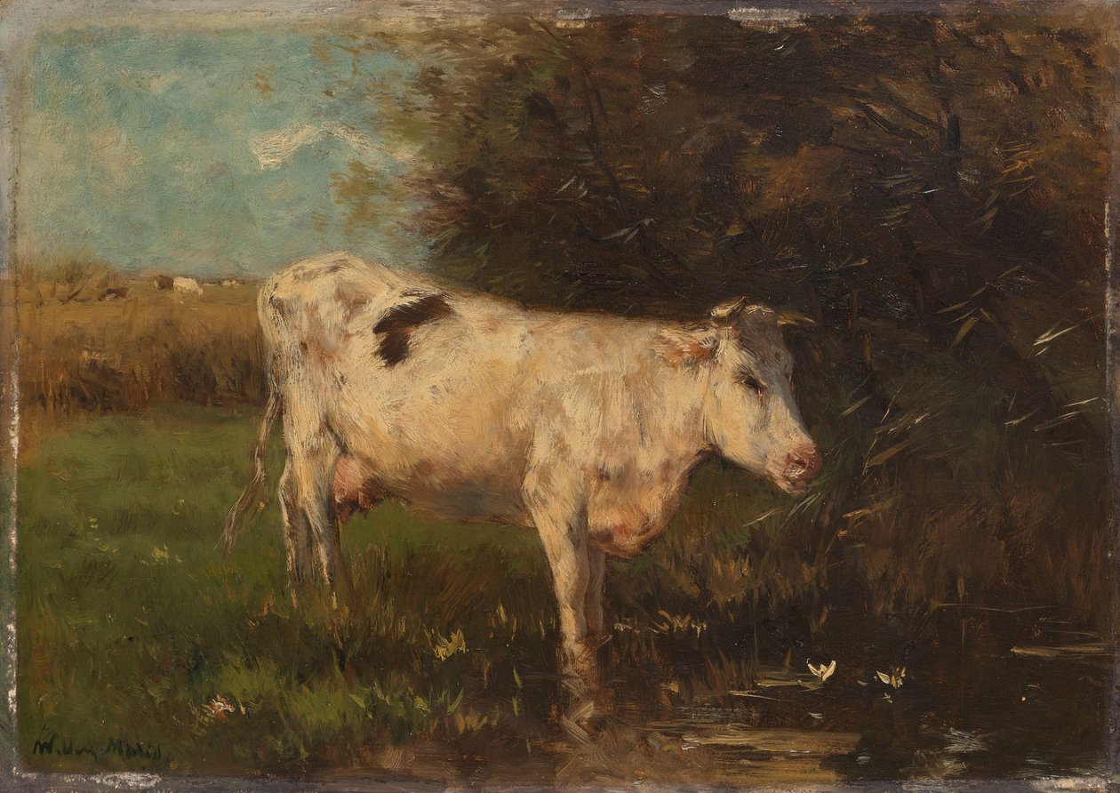 Vaca blanca de Willem Maris