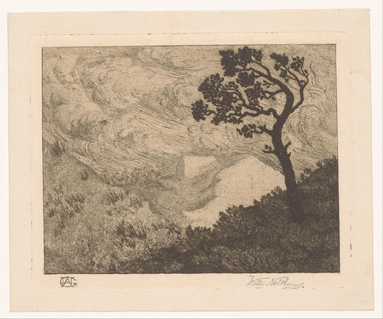 Árbol en un paisaje de colinas de Willem Nolthenius (signed by artist)