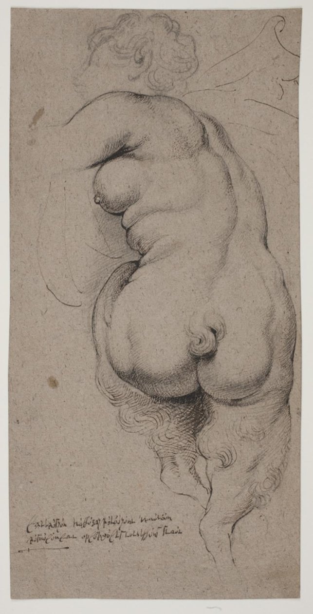 Fauno femenino, visto desde atrás de Willem Panneels