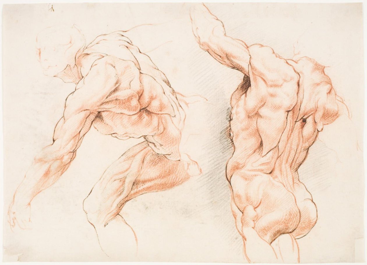 Dos estudios anatómicos de un hombre inclinado hacia la izquierda y otro visto desde atrás con el brazo levantado (écorché) de Willem Panneels