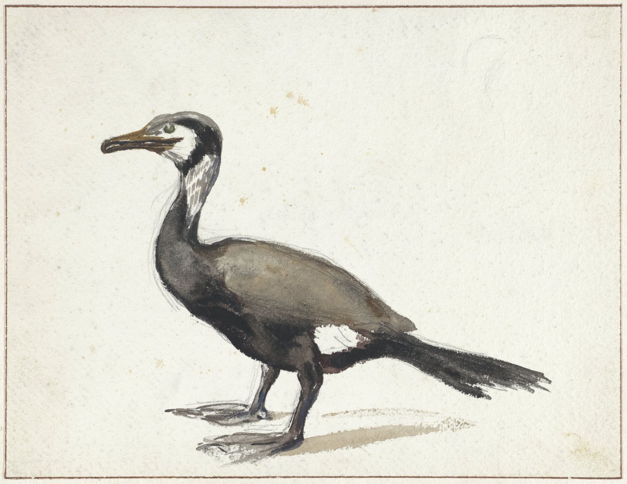 Cormorán de Willem Roelofs (I)