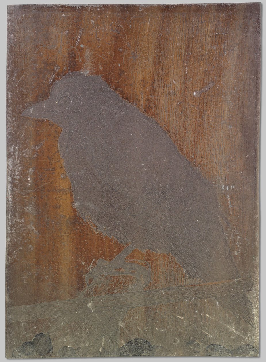 el cuervo ina de Willem Arnoldus Witsen