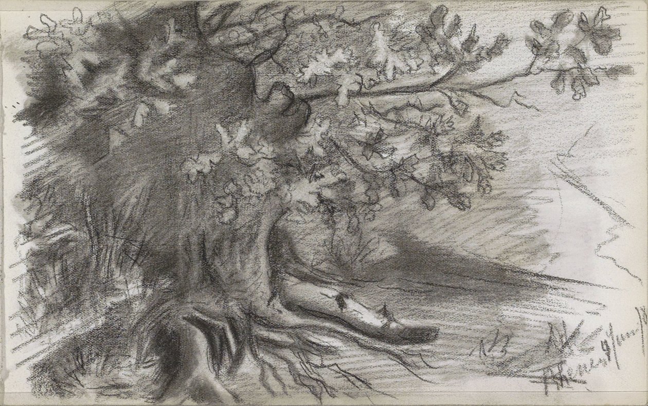 Paisaje con un gran árbol en Rhenen de Willem Arnoldus Witsen