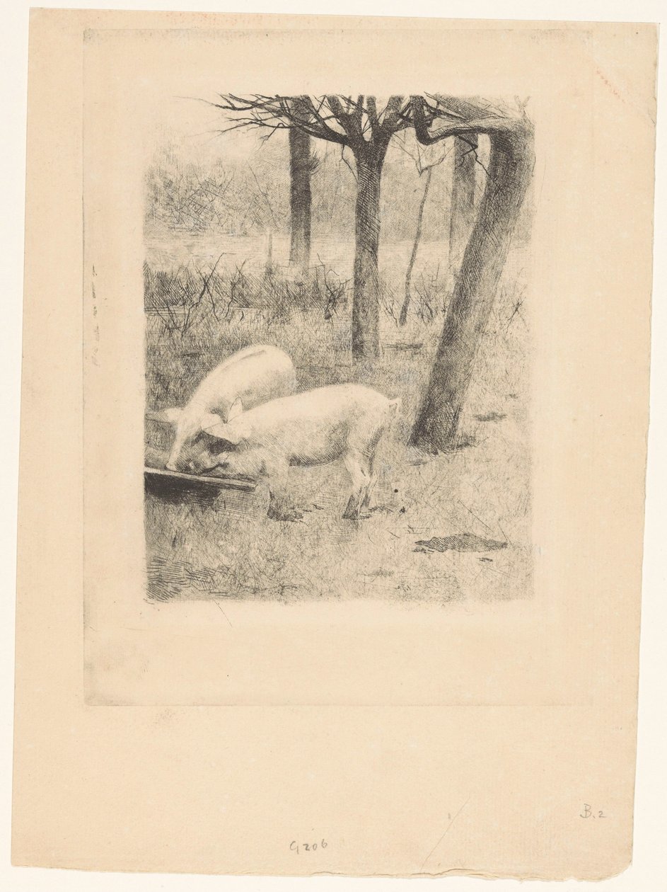 Dos cerdos en un comedero de Willem Arnoldus Witsen