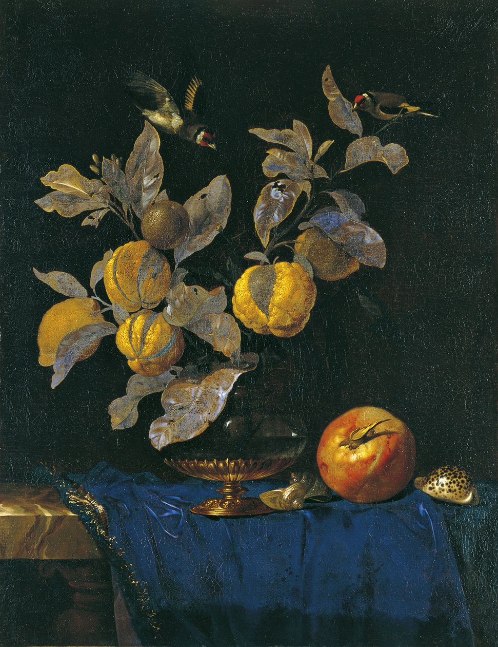 Naturaleza muerta con frutas de Willem van Aelst