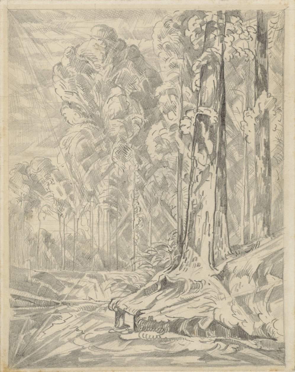 Espacio abierto entre árboles altos de Willem van Konijnenburg
