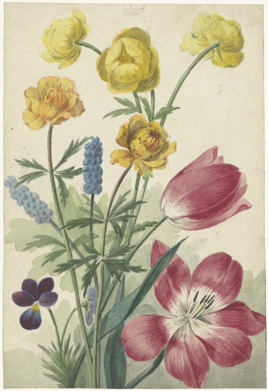 Ramillete de tulipanes, pensamientos, uvas azules y dots de Willem van Leen