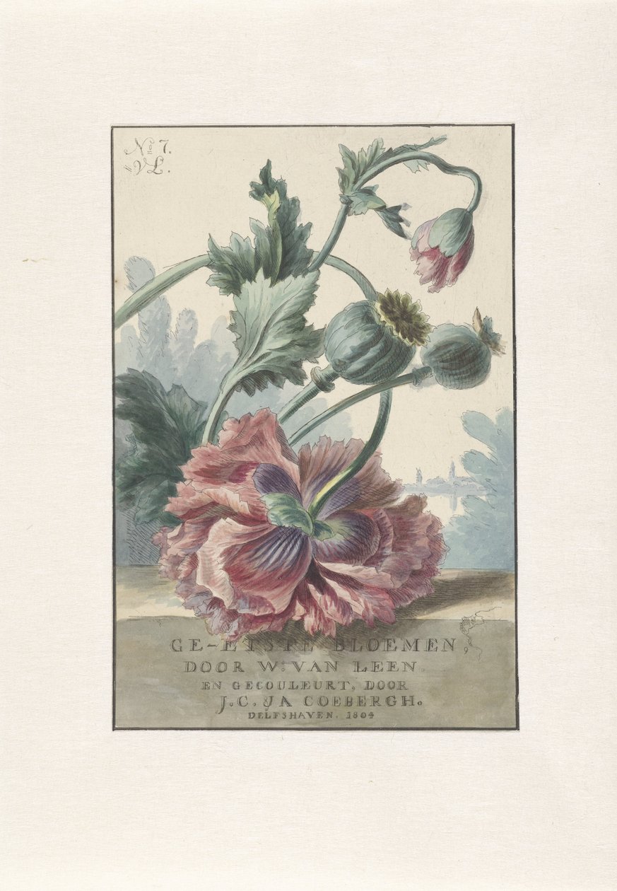 Amapolas
Impresión del título para: W. van Leen y J.C. & J.A. Coebergh, Flores grabadas, 1804 de Willem van Leen