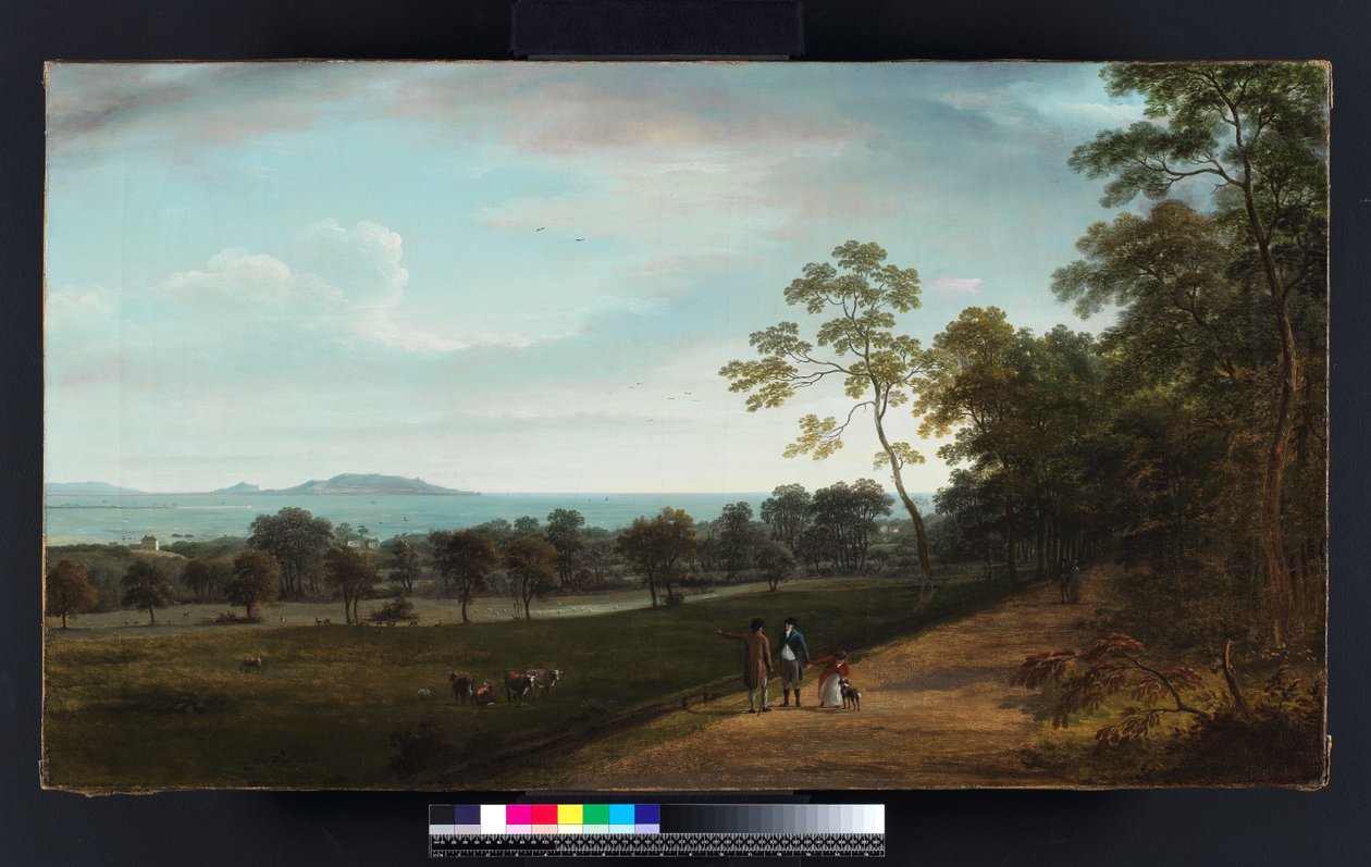 Vista en el Parque Mount Merrion, 1806 de William Ashford