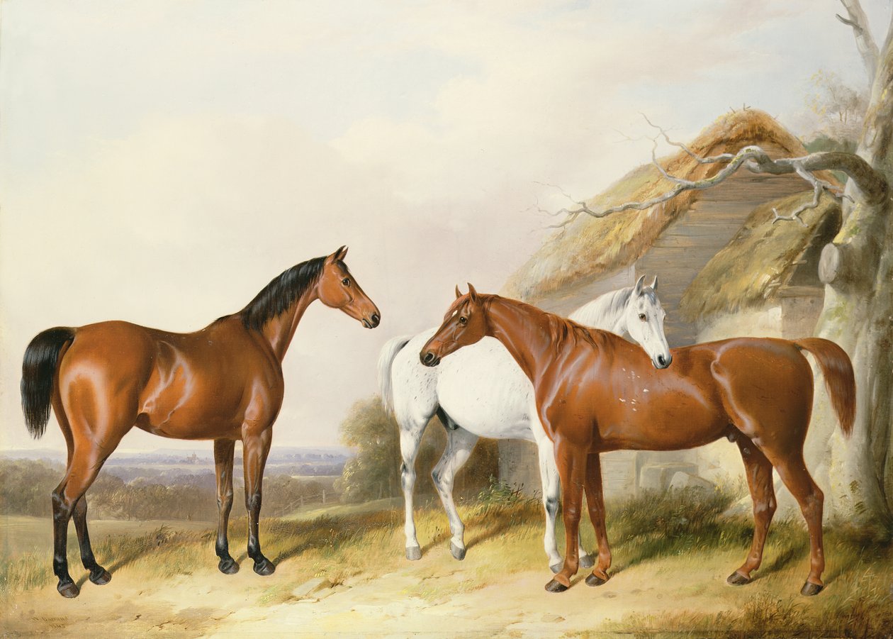 Fuera del establo, 1845 de William Barraud