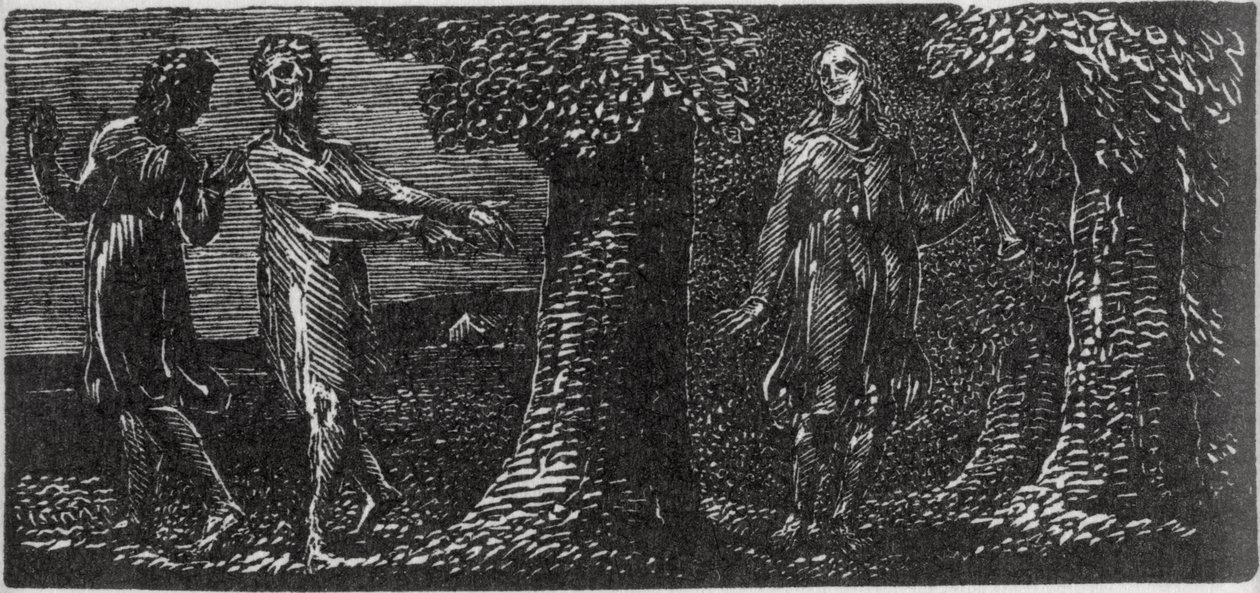 Colinet Burlado por dos niños, ilustración de 