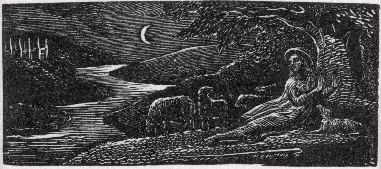 Colinet Descansando en Cambridge por la Noche, ilustración de 