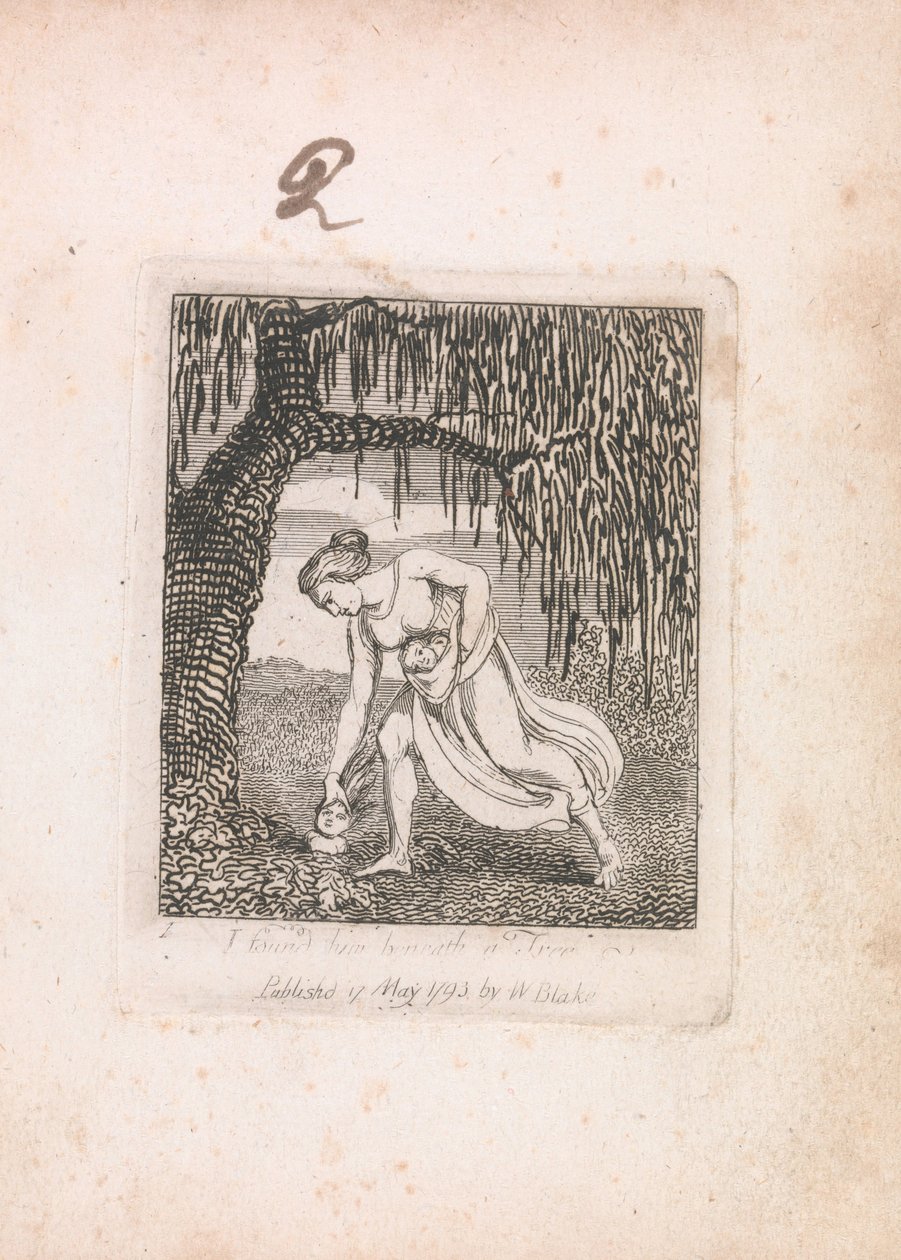 Para Niños. Las Puertas del Paraíso, Placa 3, Lo encontré bajo un Árbol de William Blake