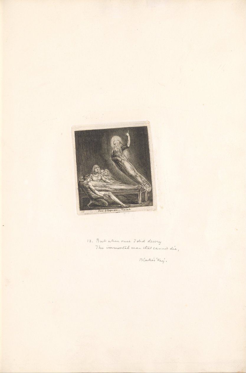 Para los Sexos- Las Puertas del Paraíso, Placa 15, El miedo y la esperanza son -- Visión de William Blake