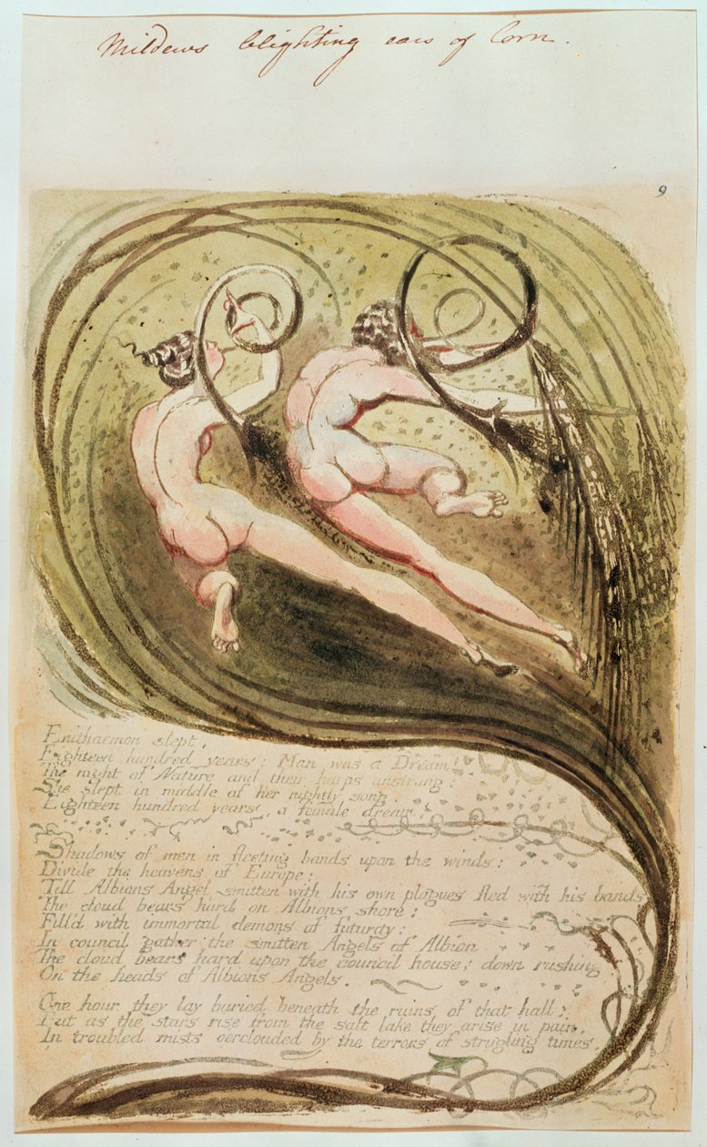 Moho arruinando espigas de maíz de William Blake
