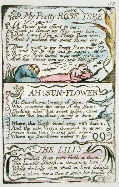 Mi Bonito Rosal, placa 53 (Bentley 43) de Canciones de Inocencia y de Experiencia (Bentley copia L) 1789-94 de William Blake