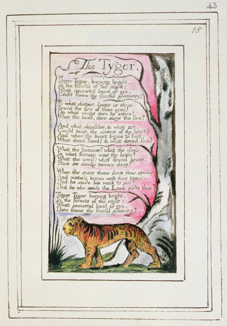 El Tigre: lámina 43 de 