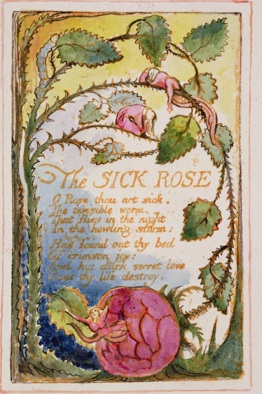 La rosa enferma: placa 39 de Canciones de Inocencia y de Experiencia (copia AA) c.1815-26 de William Blake