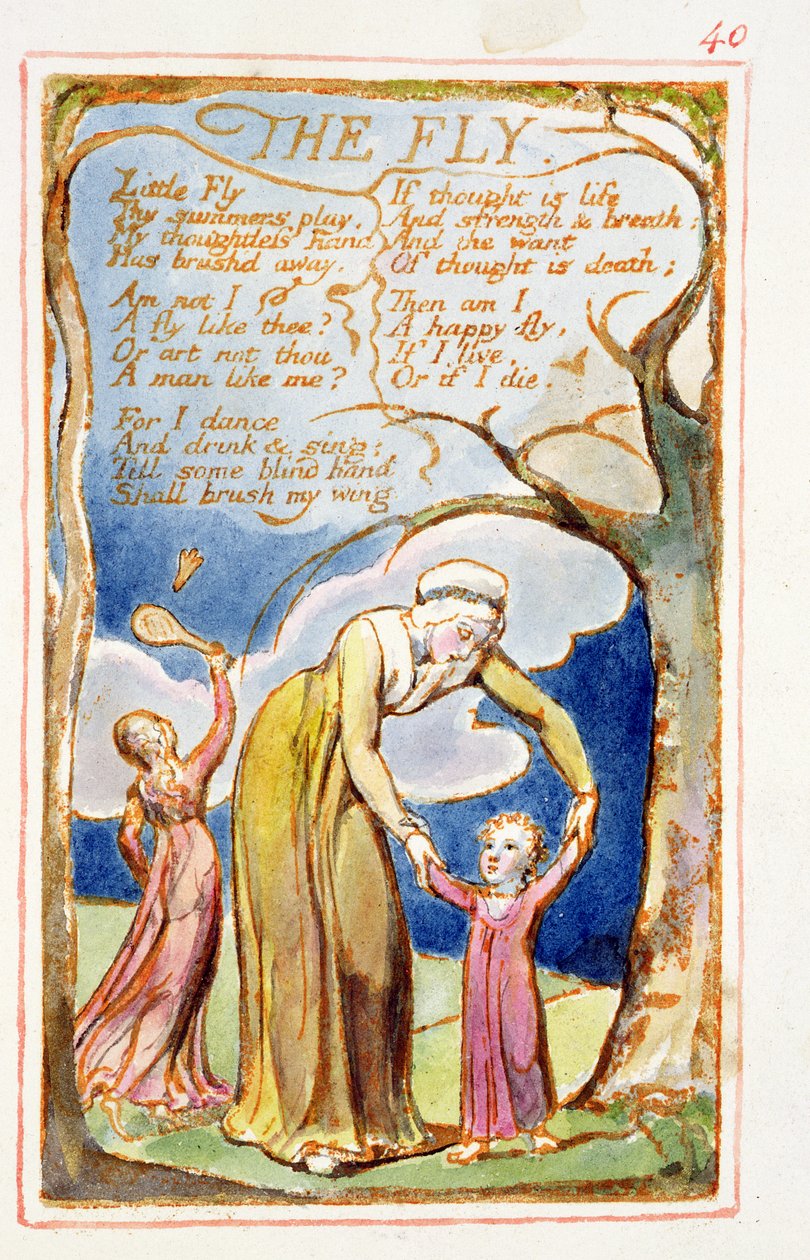 La Mosca: placa 40 de Canciones de Inocencia y de Experiencia (copia AA) c.1815-26 de William Blake
