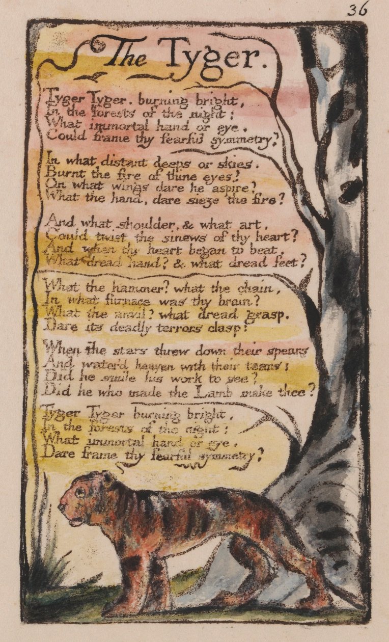 Canciones de Inocencia y de Experiencia, Placa 36, El Tigre (Bentley 42) de William Blake