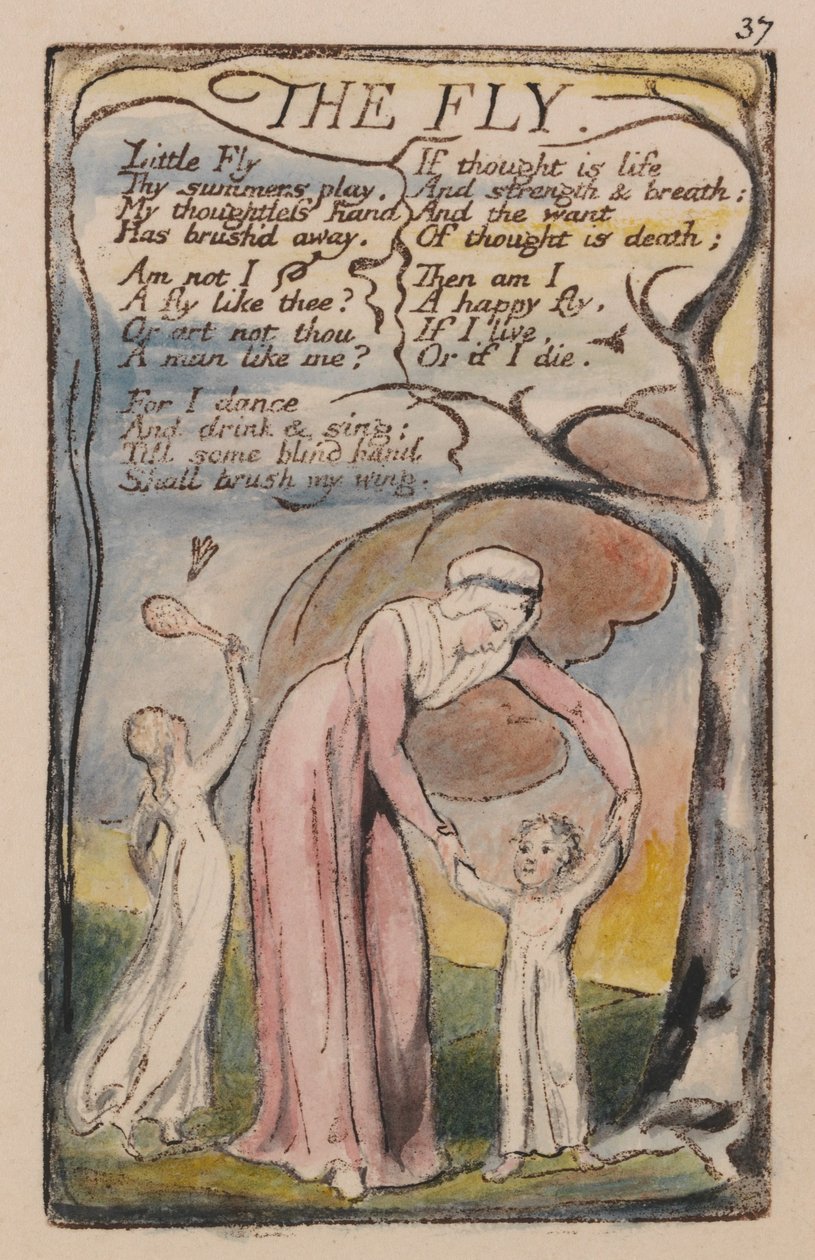 Canciones de Inocencia y de Experiencia, Placa 37, La Mosca (Bentley 40) de William Blake