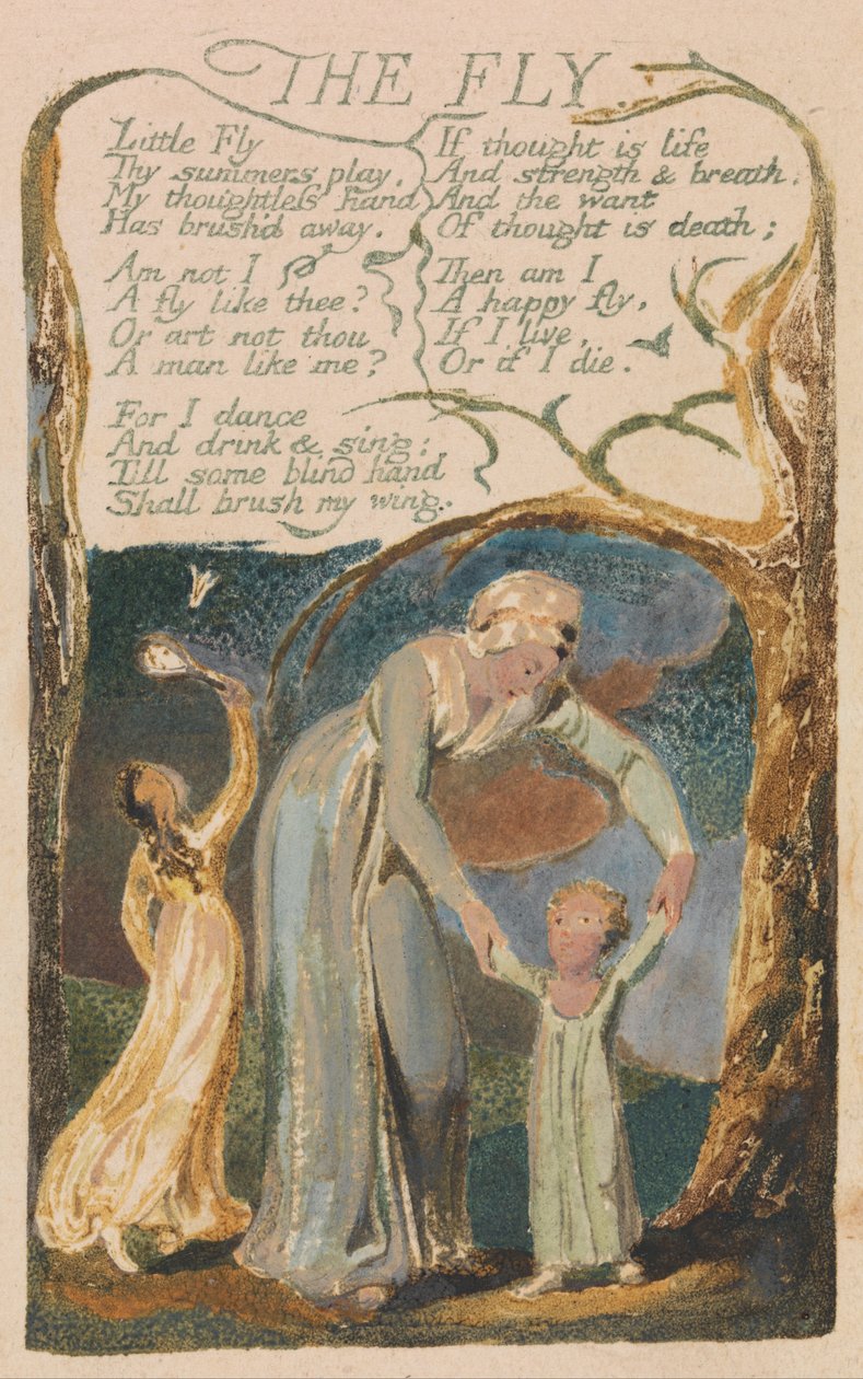 Canciones de Inocencia y de Experiencia, Placa 48, La Mosca (Bentley 40) de William Blake