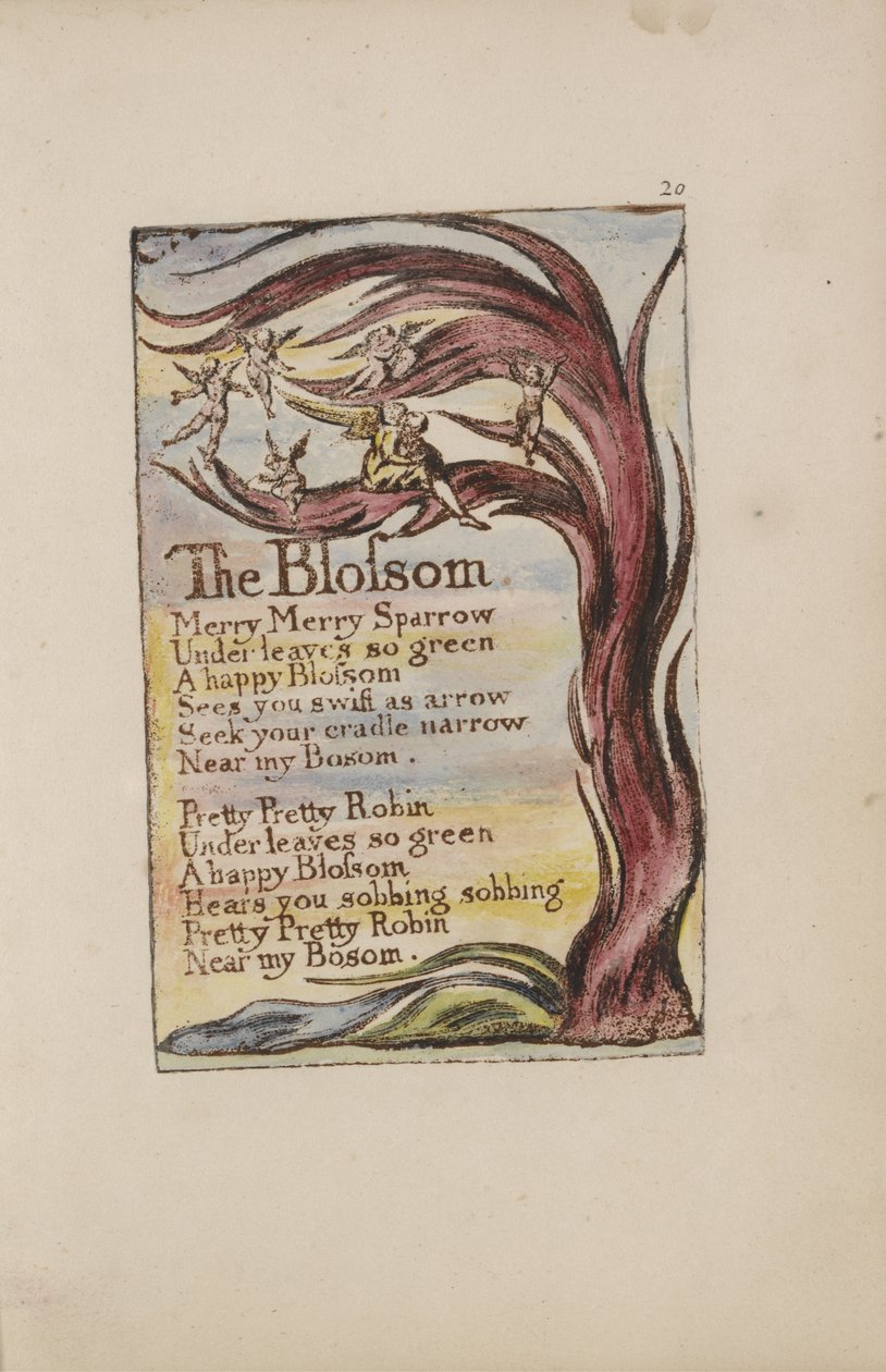 La Flor, lámina 20 de Canciones de Inocencia y de Experiencia [Bentley 11] c.1789-94 de William Blake
