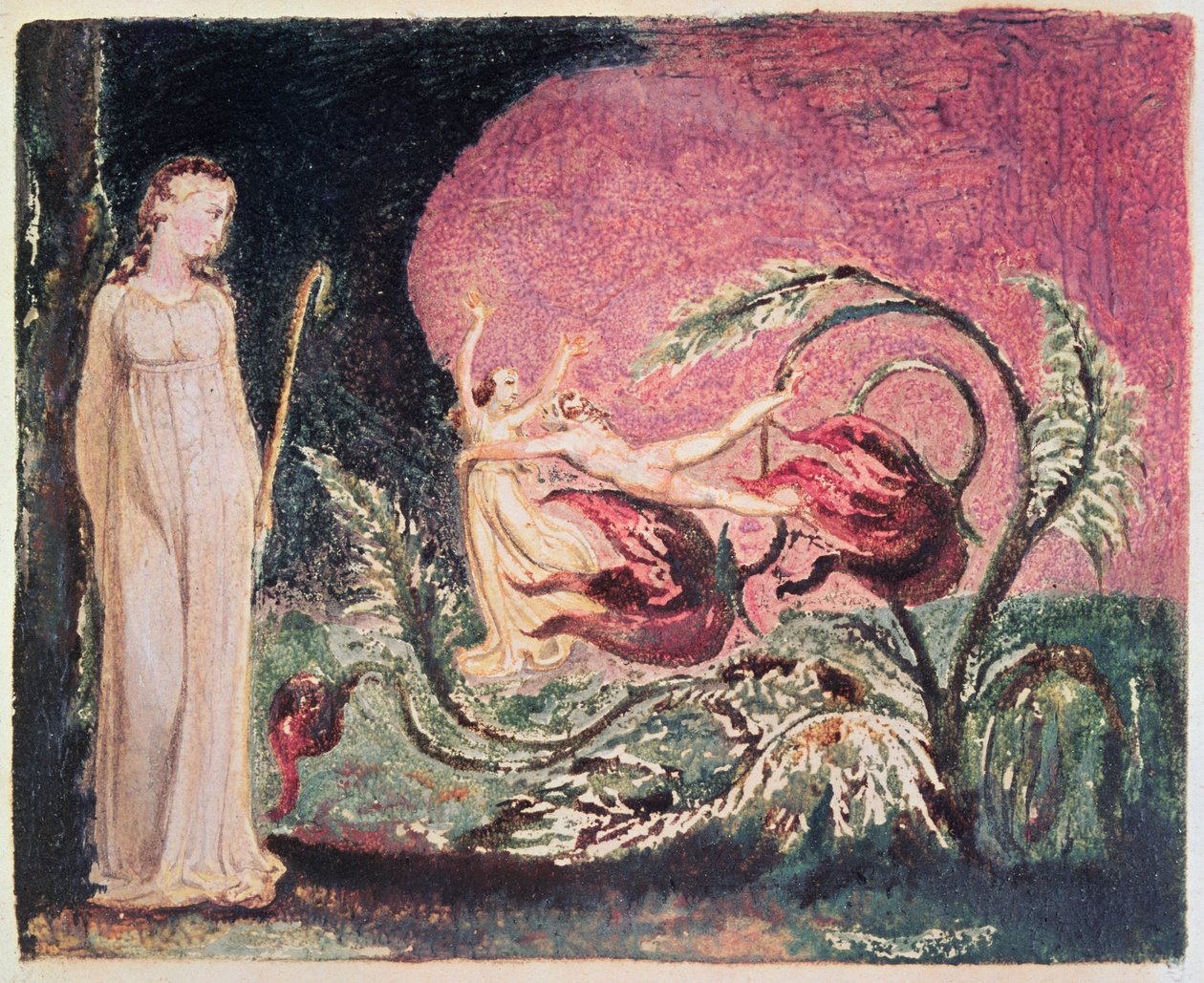 El libro de Thel: página del título, 1794 de William Blake