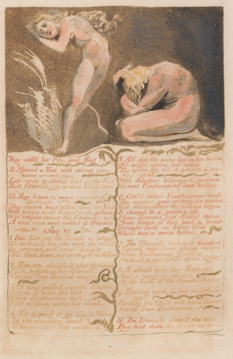 El Primer Libro de Urizen, Placa 19, La Llamaron Piedad y Huyeron.... (Bentley 19) de William Blake