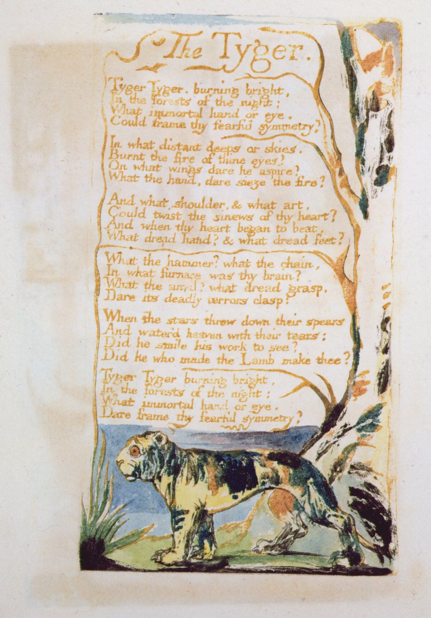 El Tigre, de Canciones de Inocencia de William Blake