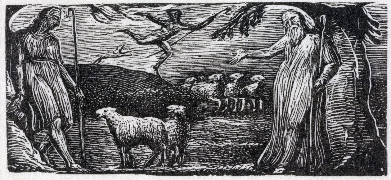 Thenot reprende a Colinet, Lightfoot en la distancia, ilustración de 