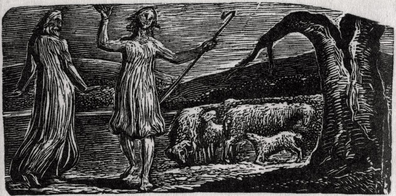 Thenot, con Colinet agitando sus brazos en tristeza, ilustración de 