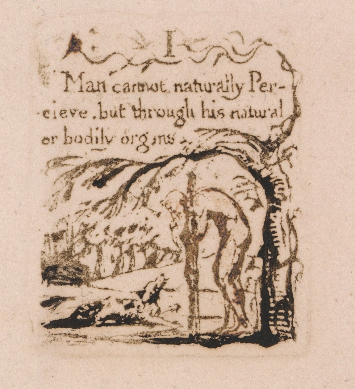 No Hay Religión Natural, Lámina 3, El Hombre no Puede Naturalmente... (Bentley a4) de William Blake
