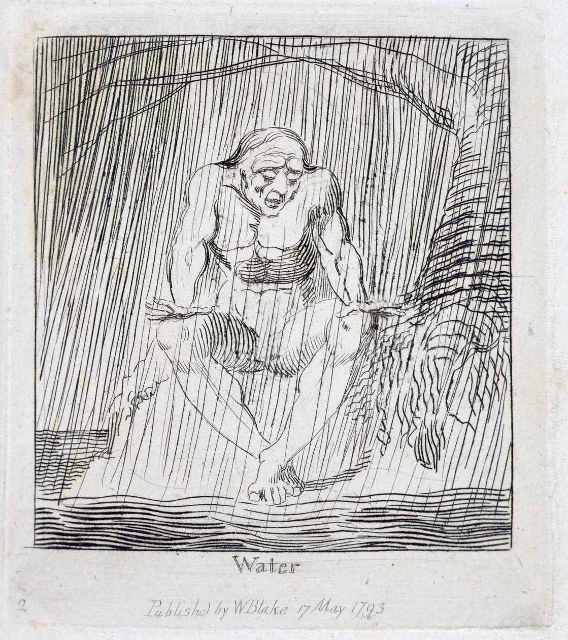 Agua, lámina 4 de 