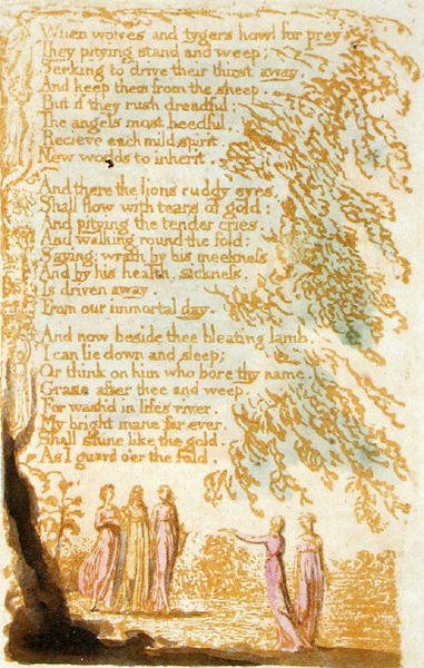 Cuando los lobos y tigres aúllan..., placa 17 de Canciones de Inocencia, 1789 de William Blake