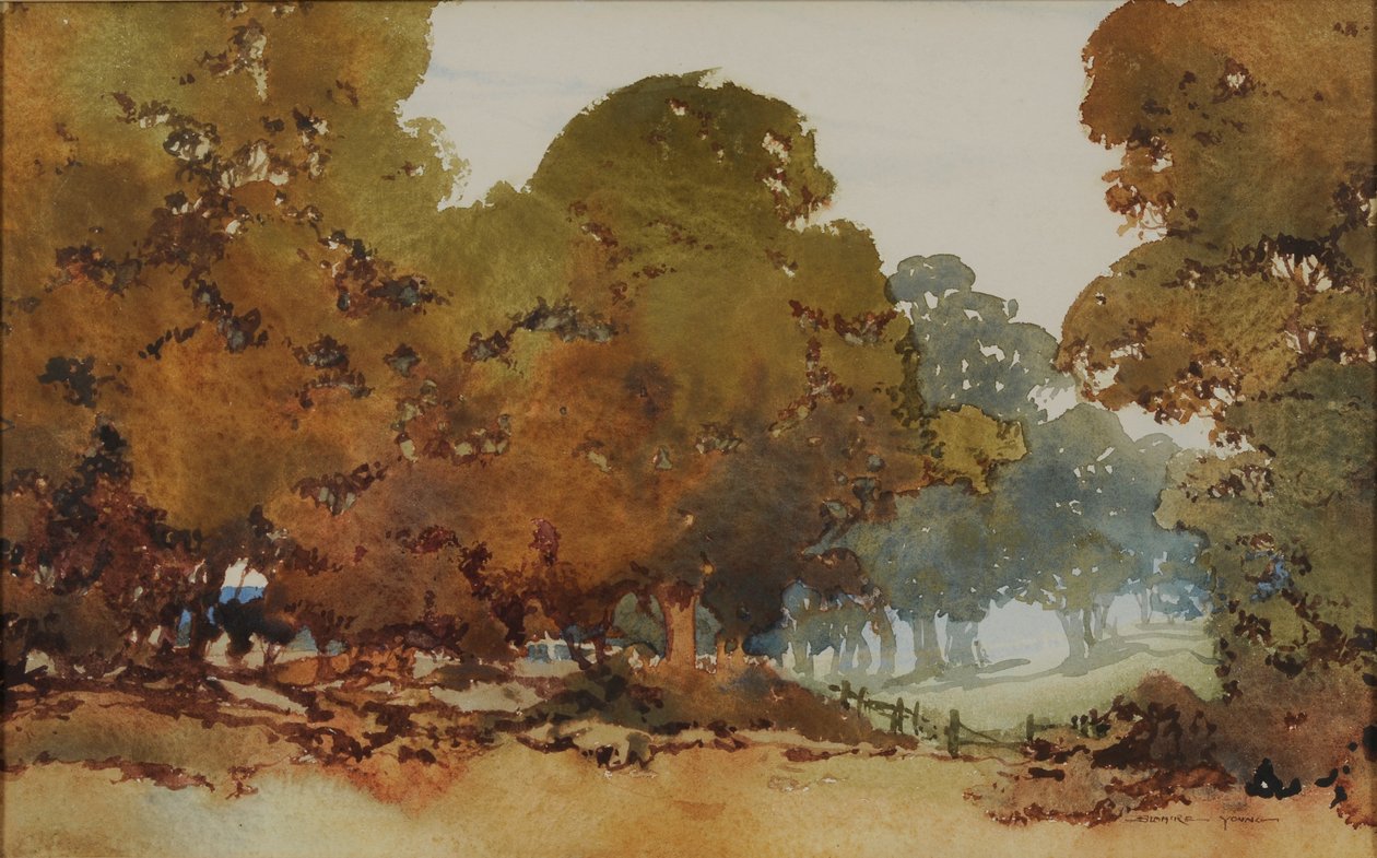 Árboles de goma de William Blamire Young