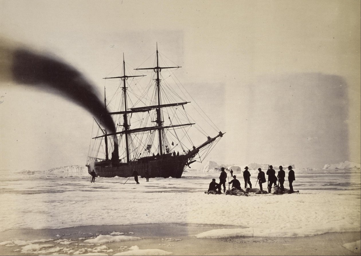 Caza con vapor en la Bahía de Melville de William Bradford
