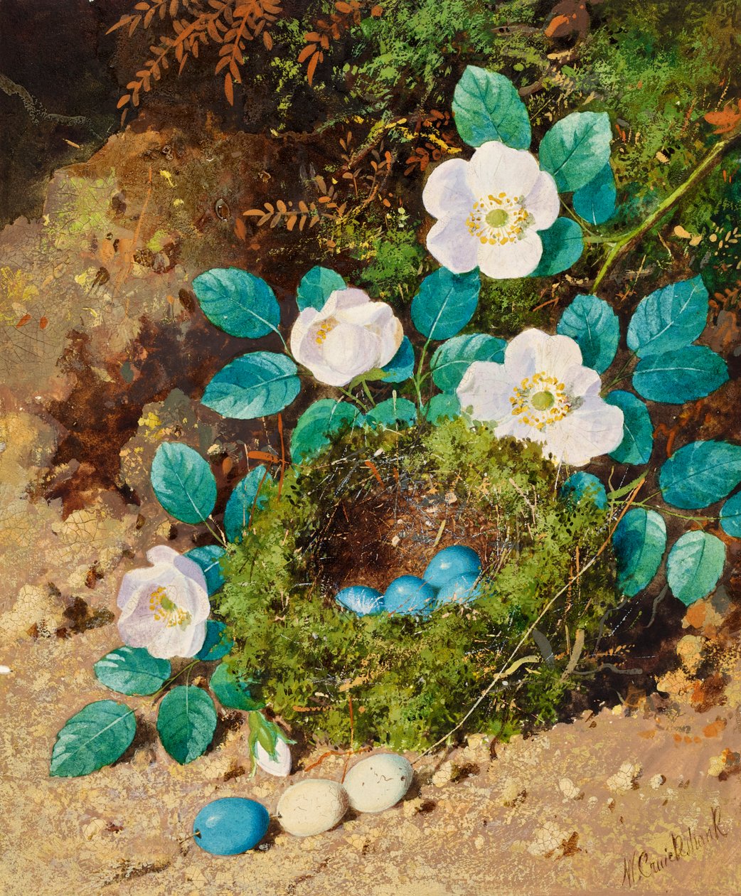 Naturaleza muerta de William Cruikshank