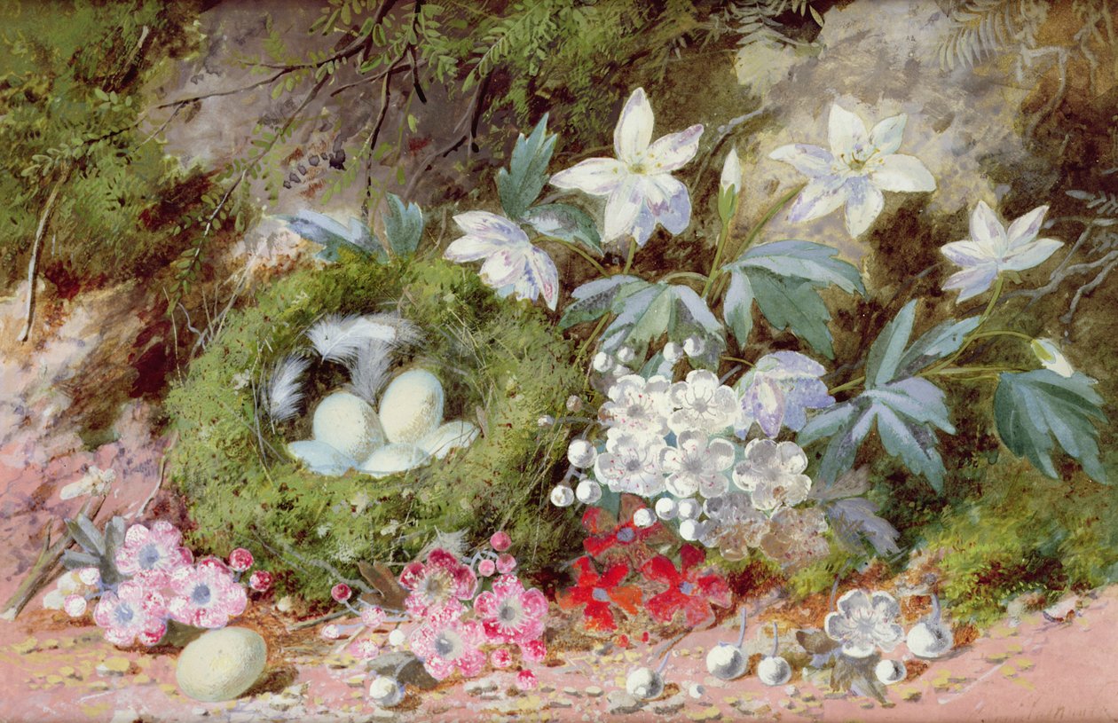 Naturaleza muerta con nido de pájaros de William Cruikshank