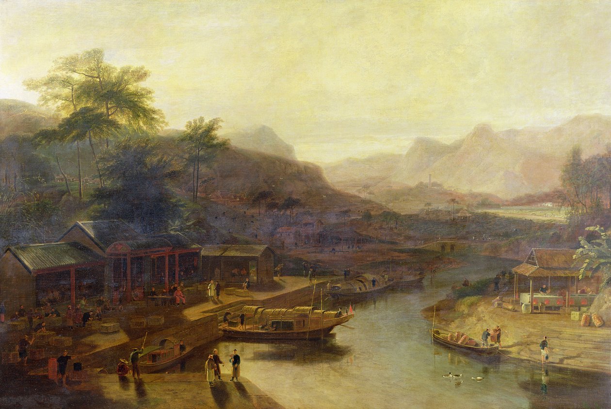 Una vista en China: Cultivando la planta de té, c.1810 de William Daniell